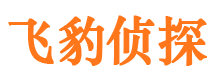 岱岳市婚姻调查